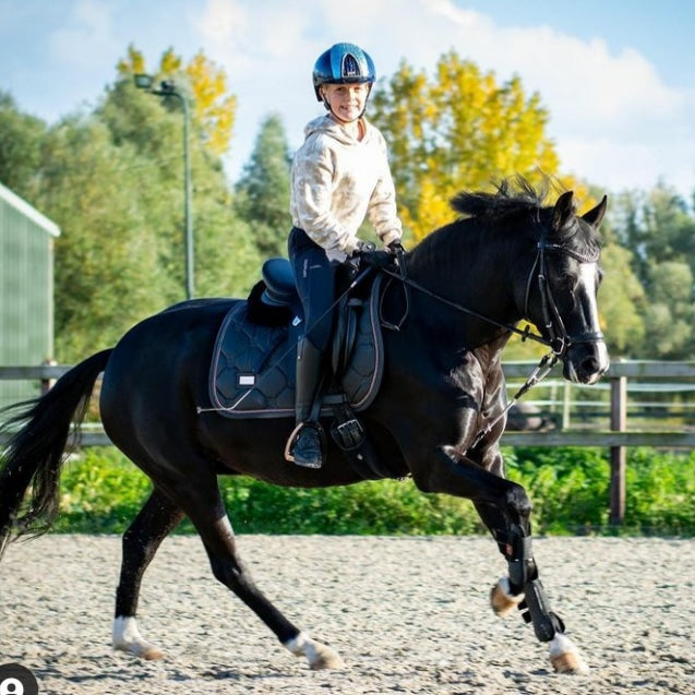 ReinRite Sport